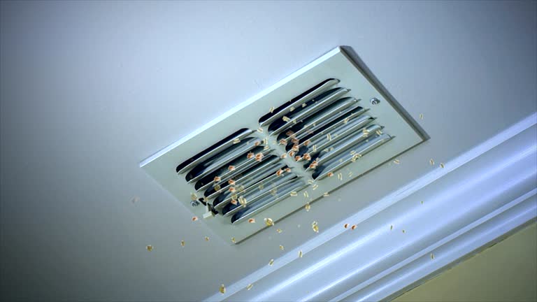 Best Duct Cleaning for Homes  in Starke, FL